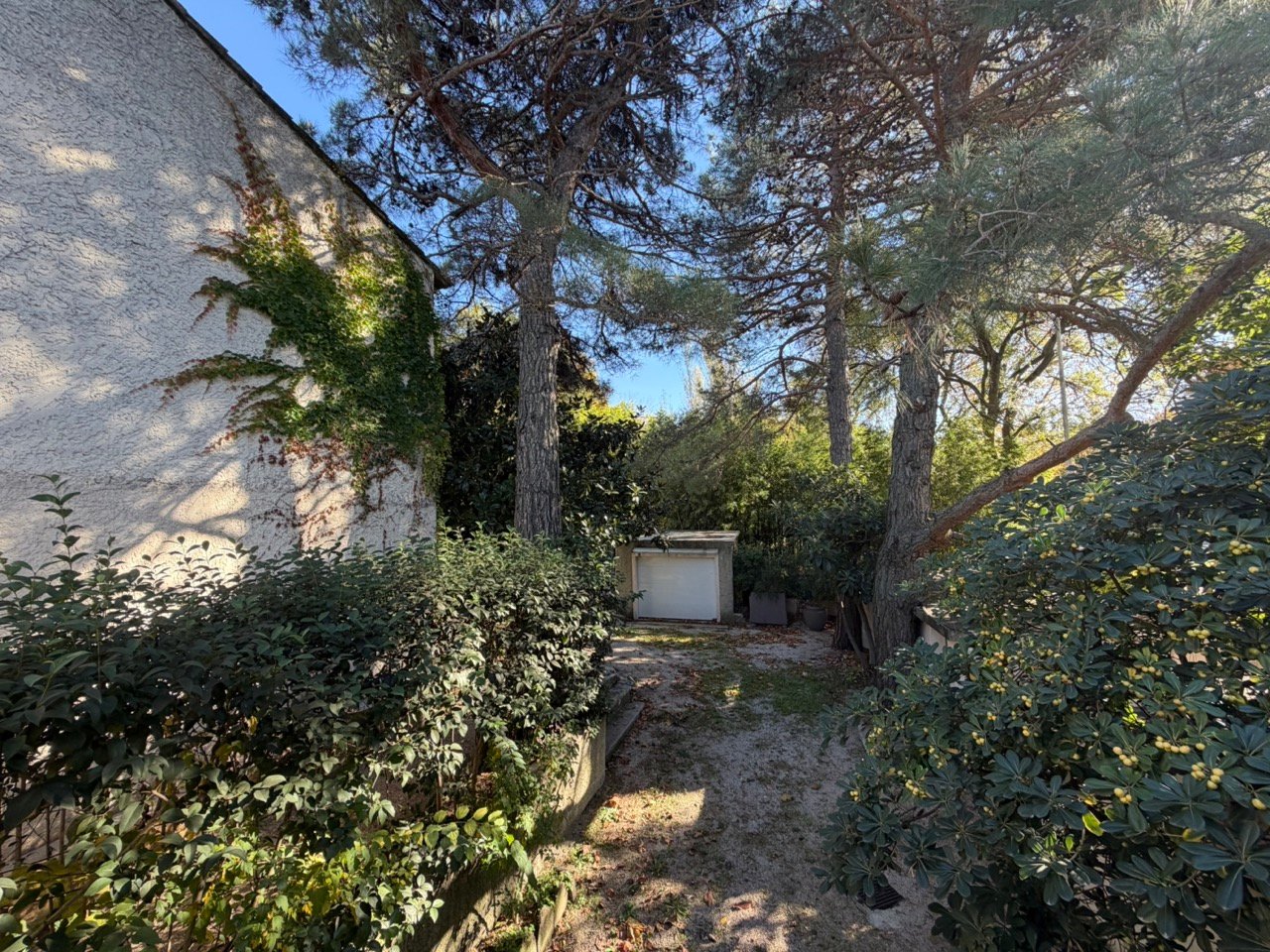 IMG_0663%20 %20Grande.jpeg